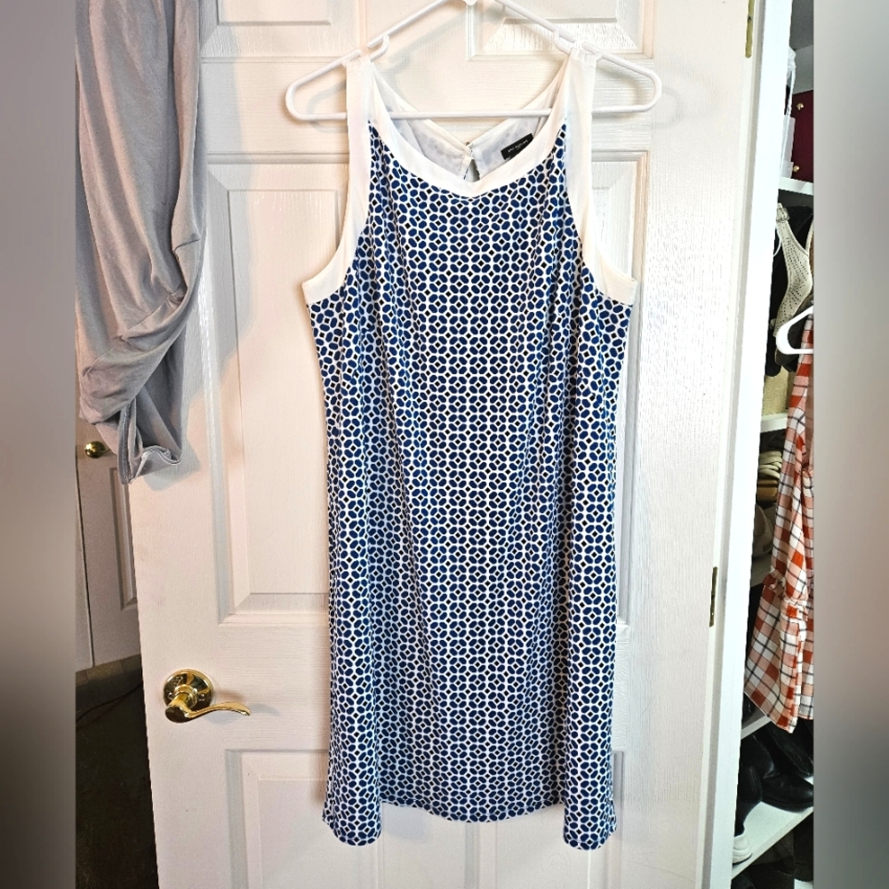 Ann Taylor Shift Dress